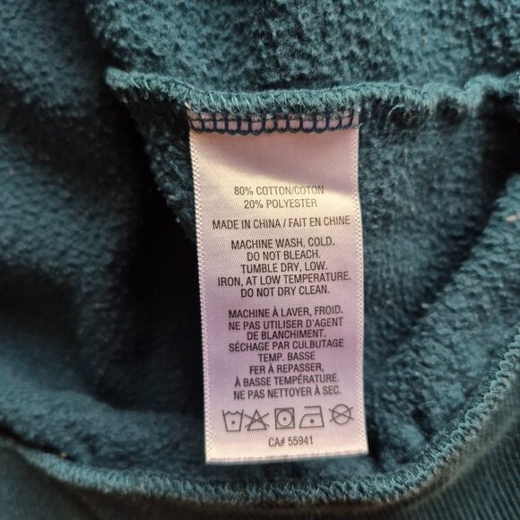 Kolby Relaxed Fit Hoodie Teal Size Large - Picture 4 of 10